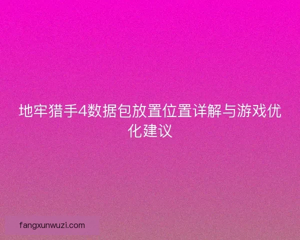 地牢猎手4数据包放置位置详解与游戏优化建议