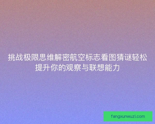 挑战极限思维解密航空标志看图猜谜轻松提升你的观察与联想能力