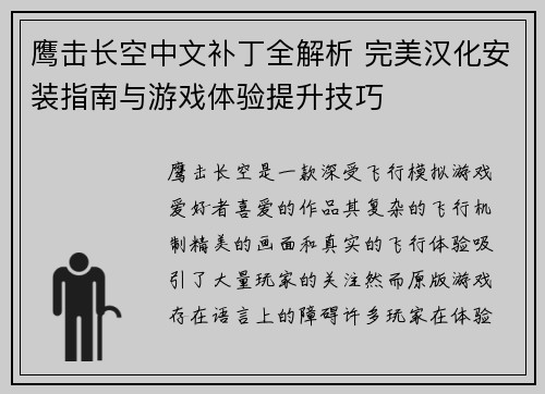 鹰击长空中文补丁全解析 完美汉化安装指南与游戏体验提升技巧